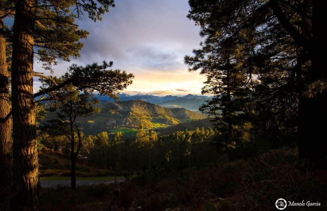 El Interior De Gaia - Foto 34