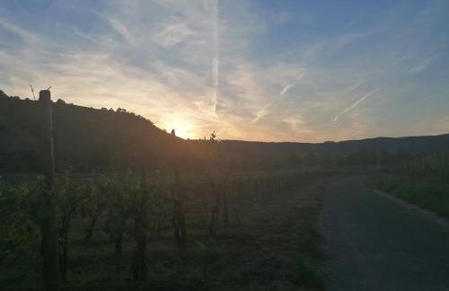 Ferienwohnungen Felten in Minheim - Foto 37