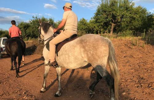 Villa Martins - Foto 30