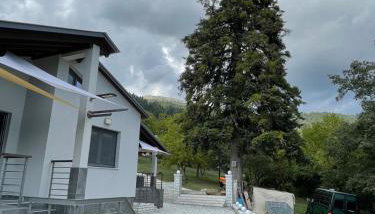 Marosa Guesthouse - Foto 4, Garden, Garden view