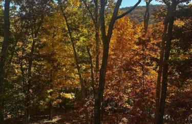 Huckleberry Ridge at Massanutten - Foto 40