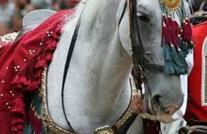 New Charming Apartment Ivana - centrally located - Foto 32