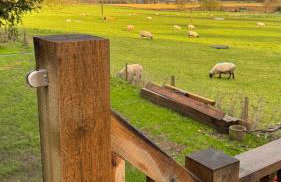 The TreeHouse Hideaway - Foto 2