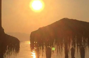 Polistilo Spiti - Foto 35