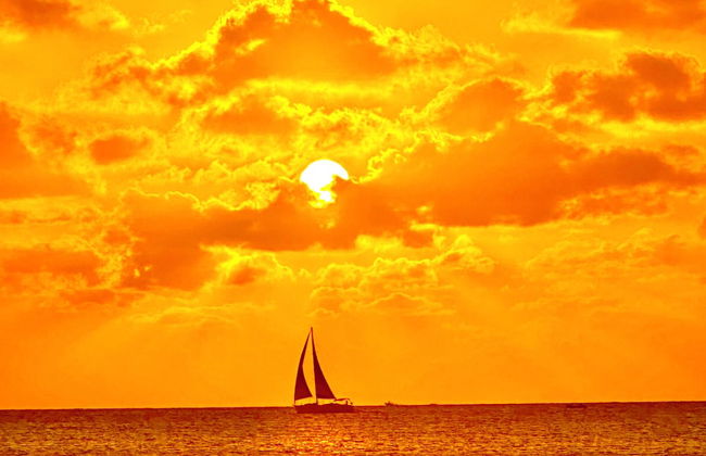 The Grove - Photo 67