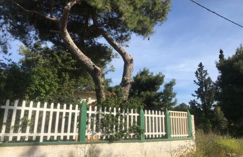 Kokos Traditional Family House - Foto 20