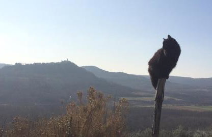 Motovun Bellevue - amazing view, comfortable - Foto 35