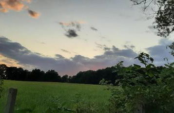 Ferienwohnung im grünen Muldental - Foto 26