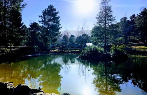 Chalet lujo en finca Zafiro lagunazo Riopar 5 o 3 dormitorios y 3 Baños Parque Natural del Rio Mundo - Foto 20