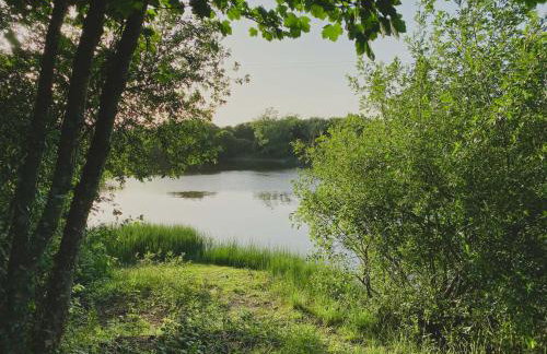 Timber Hill Self Catering Cedar Lodges - Foto 50