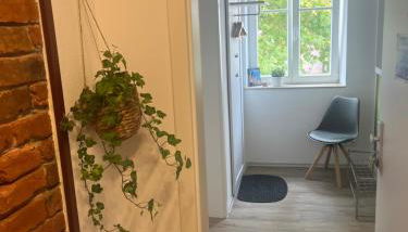 Gästehaus an der Frauenkirche - Foto 5