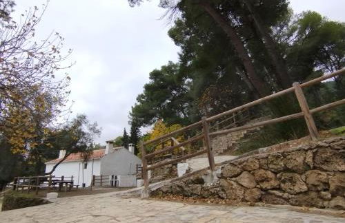 Suite La Fuente - Photo 39