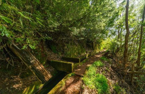 Santiago apartment Alpine escape villa - Foto 7