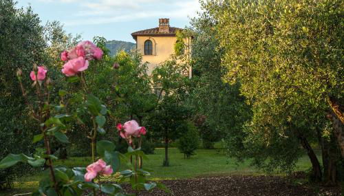 Villa Il Paradisino - Foto 1, Garden