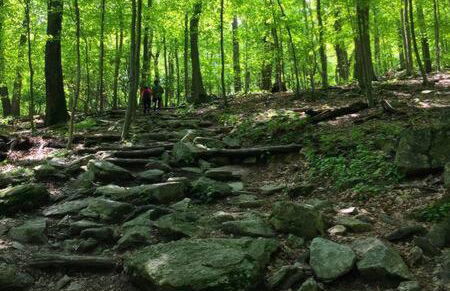Studio apartment at Sugarloaf Log House - Photo 11