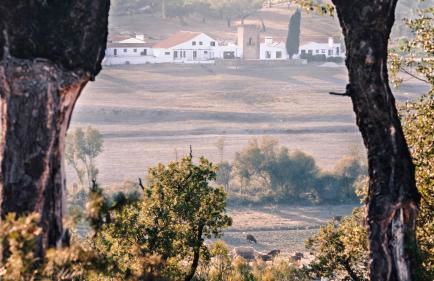 Herdade da Maxuqueira - Foto 39