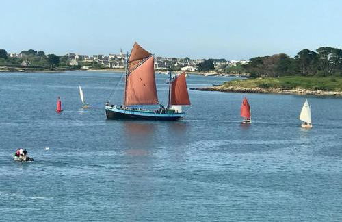 Maison grande terrasse magnifique vue sur l'Aber Wrac'h - Foto 20