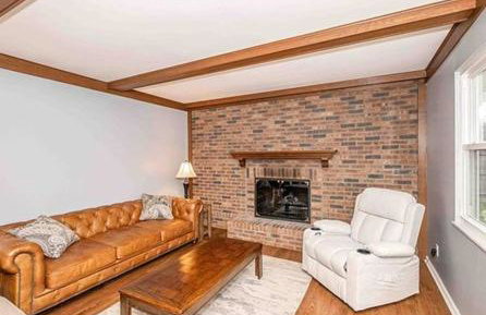 Peaceful Dove - Foto 24