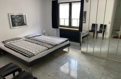 Excl Ferienwohnung im Dreiländereck D-F-CH mit beheiztem kl Pool zum Schwimmen und Massieren - Foto 7