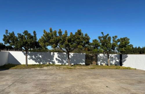 Chalet Rancapinos en Rocheviejo CONIL - Foto 23