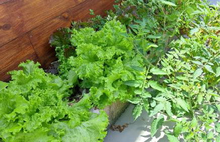 Casa Aconchegante e Inteligente na Cachoeira - Foto 57