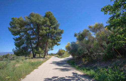 Bungalows-Cortijo Da Luigi-4 adultos-2 Dormitorios-Piscina-Ideal familias-Cártama-Málaga - Foto 34