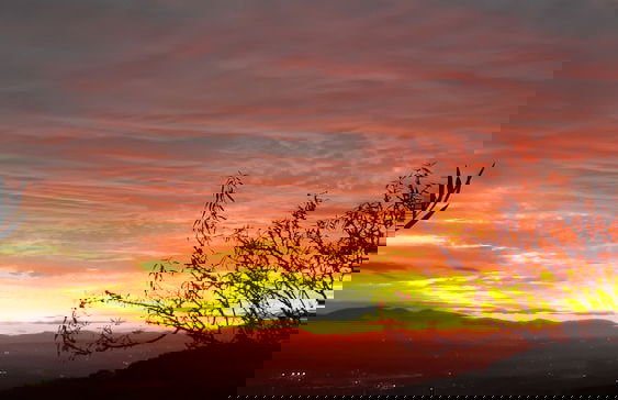 Borgo La Casetta - Foto 40