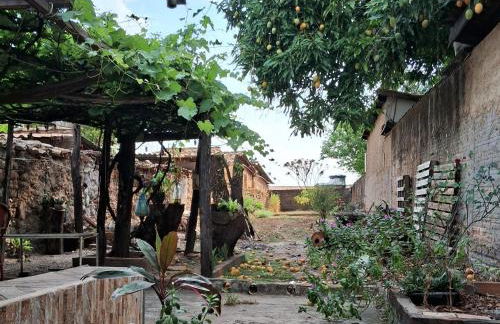 Casa por temporada - Foto 24