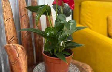 Maison cosy climatisée avec jardin - Foto 28