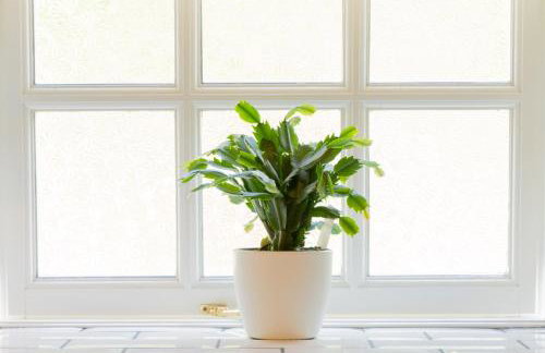 Bankside Cottage Milldale - Foto 19