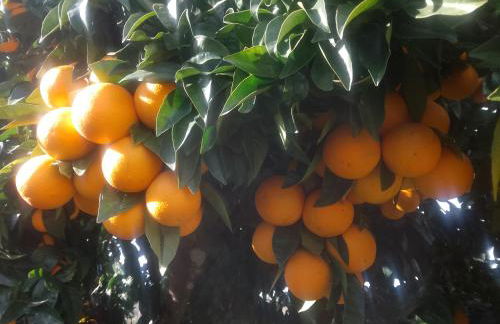 Casa Virginia - Foto 30