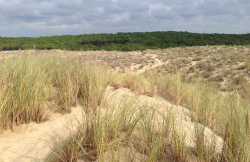 Villa OCEANSIDE Lège CAP-FERRET - Foto 21