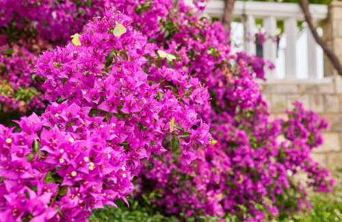 Apartments Hansal - Photo 50