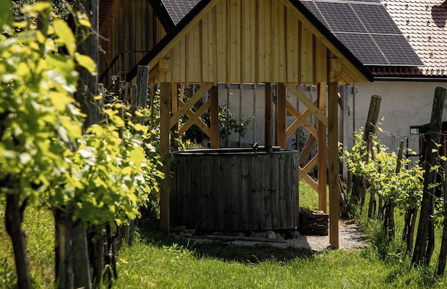 Vineyard cottage Škatlar 3 - Foto 16