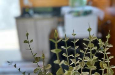 Chalé Tiny house com banheira e lareira - Foto 14