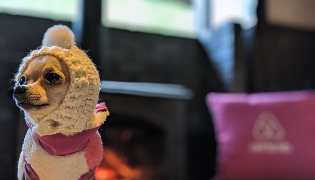 The Ninja Mansion - Foto 5, Servicio de comidas en la habitación