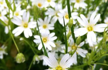 Odenwald Lounge im Naturpark Bergstraße-Odenwald - Photo 28