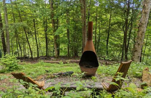 Sandstone Sanctuary - Walk into Muir Valley, RRG! - Foto 23