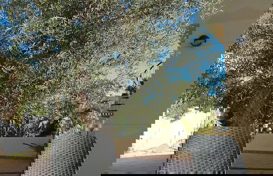 Guesthouse -El campello-Alacant - Foto 25