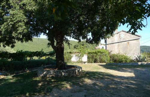 Apartments Smolica - Foto 40