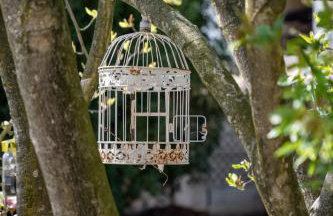 Villino Ca' Bianca, vicino ad Alba, NO ZANZARE, accessibile e con sollevatori aerei - Photo 64