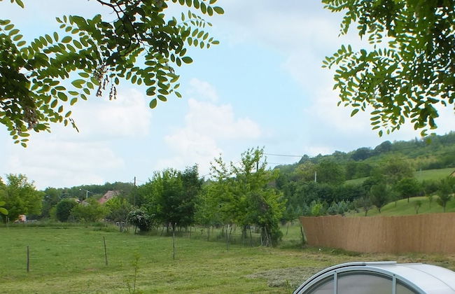 Ferienhaus Waldhof - Foto 11