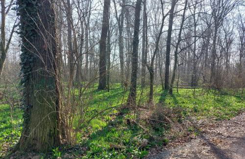 Gemütliche Zwei-Zimmer-Ferienwohnung "W1" in Zwenkau bei Leipzig im Neuseenland - Foto 13