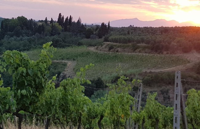 Agriturismo Podere Casalone - Foto 35