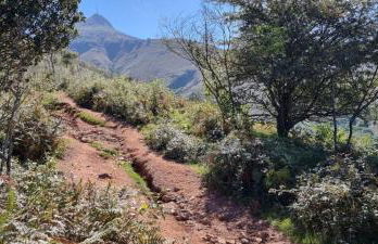 studio idéal couple 2 enfants, bien situé, calme - Foto 55