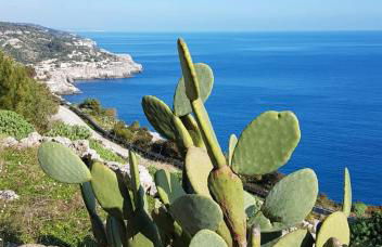 TERRA ROSSA casa di campagna con piscina 2 camere da letto, 4 pl, si animali da compagnia - Foto 50