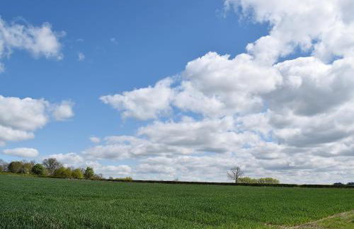 Waxwing Cottage - Foto 15