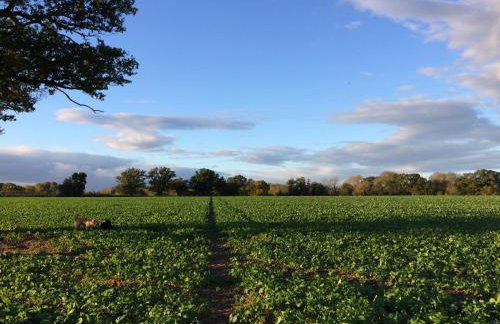 Gilberts End Farm - Foto 26