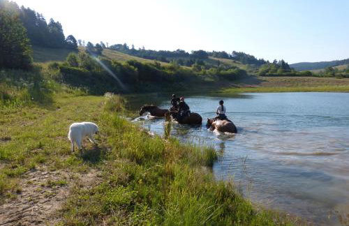 Ropuszy Dwór - Foto 21