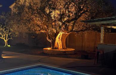 Apartment olive tree garden&poll view 4 plus 2, 130 m2 with tiki bar - Foto 1